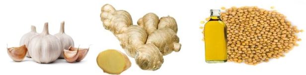 garlic ginger mustard oil