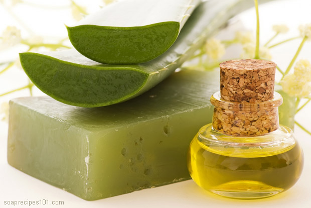 Benefits Of Aloe Vera Soap and How To Make it at Home ...